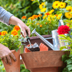 tuinlessen