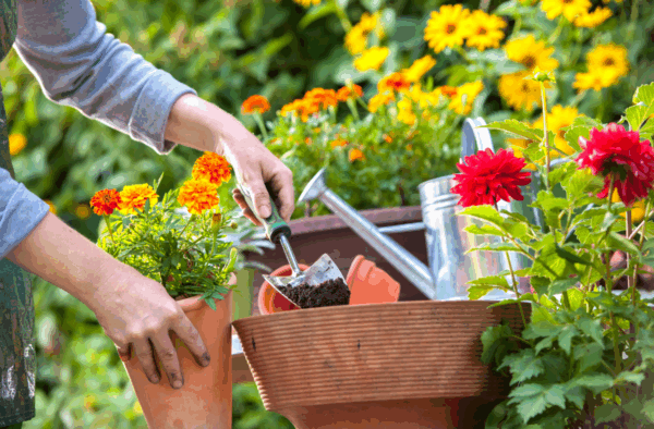 tuinlessen