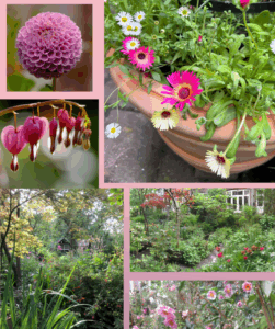 plan tuinlessen